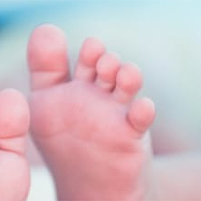 newborn